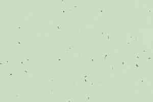 Линолеум Forbo Sphera Energetic 50238 sea green фото  | FLOORDEALER